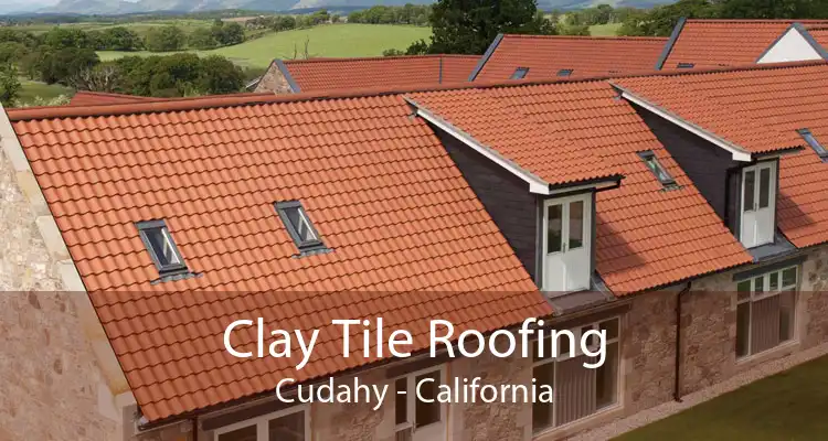 Clay Tile Roofing Cudahy - California