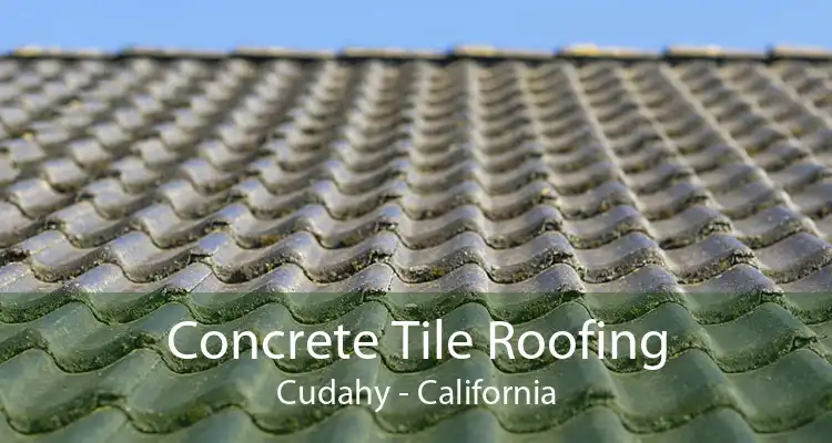 Concrete Tile Roofing Cudahy - California