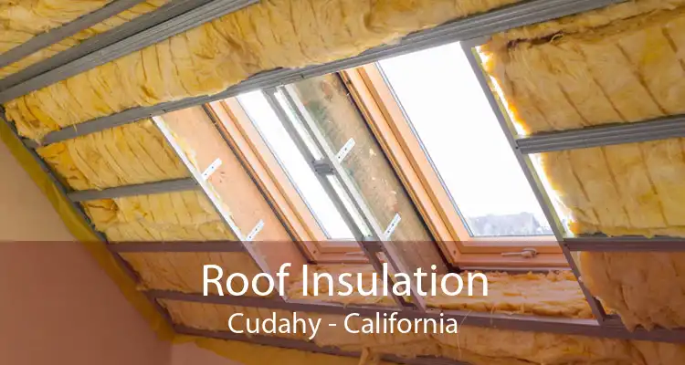 Roof Insulation Cudahy - California