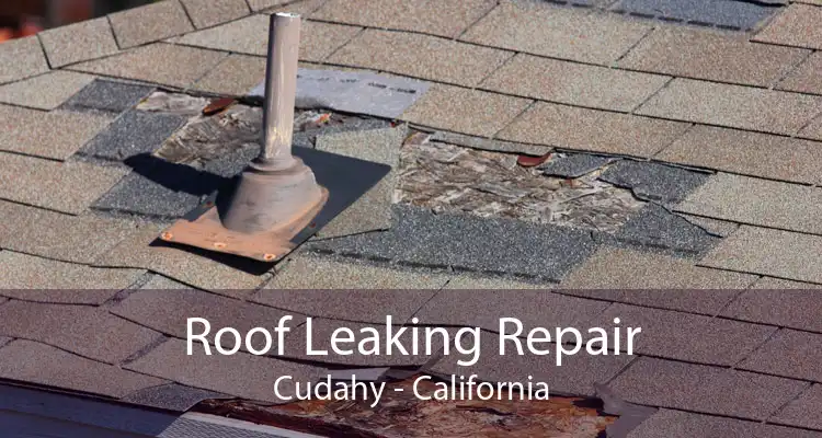 Roof Leaking Repair Cudahy - California