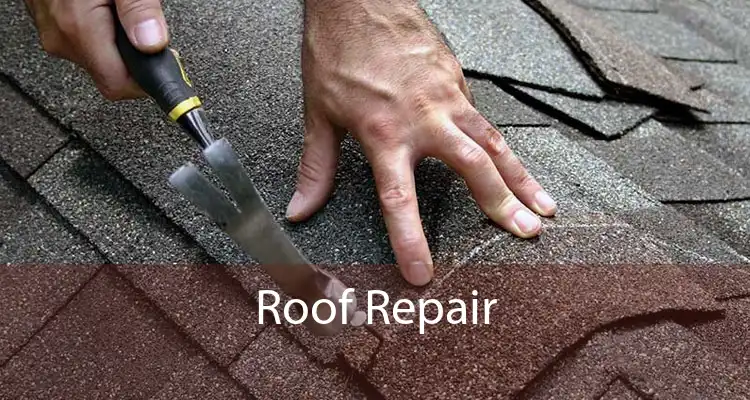 Roof Repair 