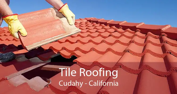 Tile Roofing Cudahy - California